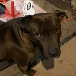 Meet your Posher, Shawn